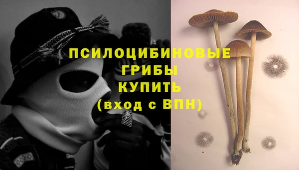 мескалин Алексеевка