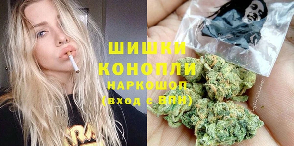 спайс Алзамай